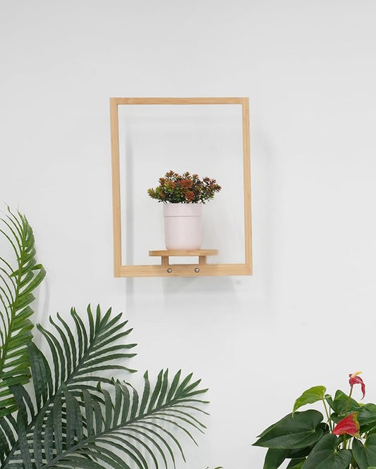 yadoker Wall Planters for Indoor Plants,Bamboo Hanging Plant Holders, Wall Decor Plant Stand, 1-Pack Window Plant Shelves for Living Room & Entryway