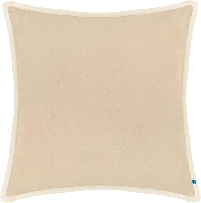 FINGERCRAFT Decorative Throw Pillow Cover Pack of 2 Soft Velvet Cushion Cover, Sofa and Bedroom Pillow Case 18" x 18" Cream