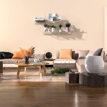 Sezanrpt Acrylic Wall Shelves 36 24 12 Inches, Clear Floating Shelf for Wall, Wall Mounted Display Shelves for Plants, Radio, Funko Pop, Stuffed Animal, Books, Clock, Cosmetics, Toiletries