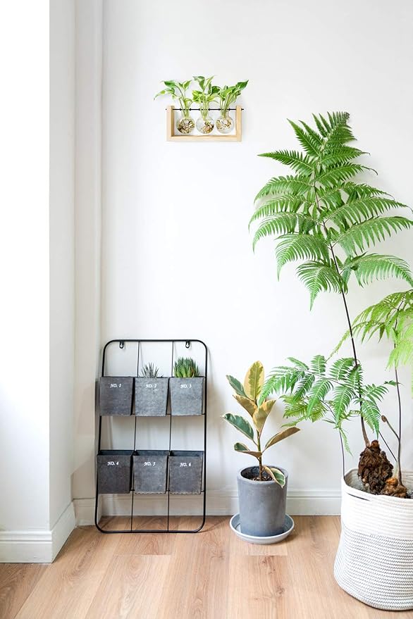 Mkono Plant Terrarium with Wooden Stand, Wall Hanging Glass Planter Desktop Plant Propagation Vase with Metal Swivel Retro Rack for Hydroponics Plants Home Office Decor (3 Bulb Vase)