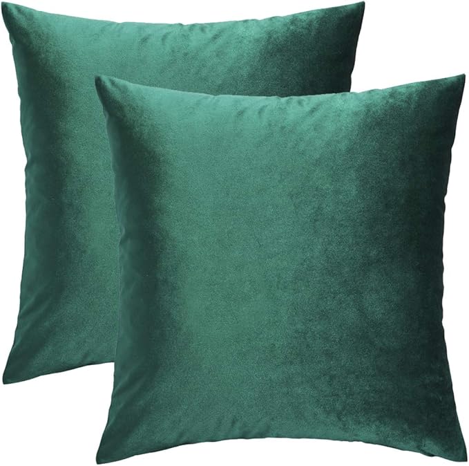 GIGIZAZA Decorative Couch Throw Pillow Covers,Set of 2 Forest Green Square Pillow Cushion Covers 22x22,Pillow Cases Velvet Pillow Covers