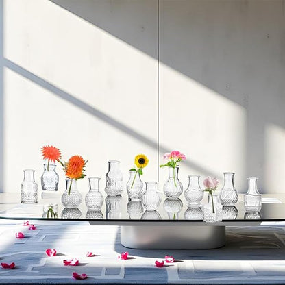 Clear Glass Bud Vase Cute Mini Vases 24Pcs EylKoi Flowers Vintage Small Glass Tiny in Bulk Different Shape Modern Set Lovely for Decor Table Wedding Home Table Centerpieces Dinning Party
