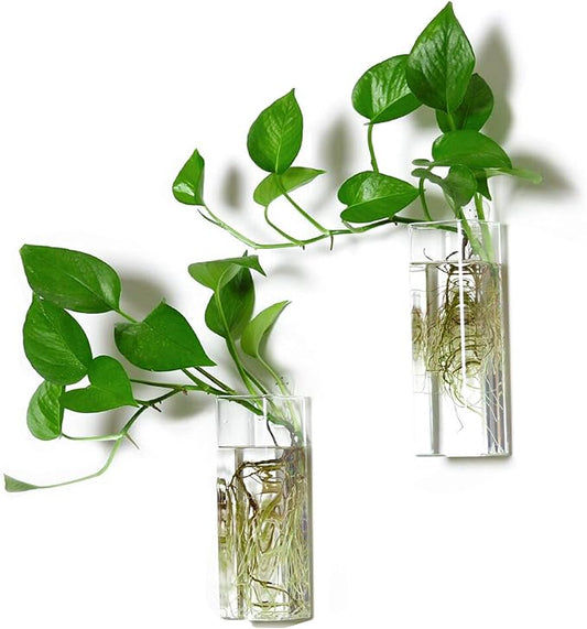 Kingbuy Plant Terrarium Container Propagation Station Square Tube Vase Wall Hanging Glass Planter Indoor Hydroponic Plants Home Office Garden Decor, 2 Pack