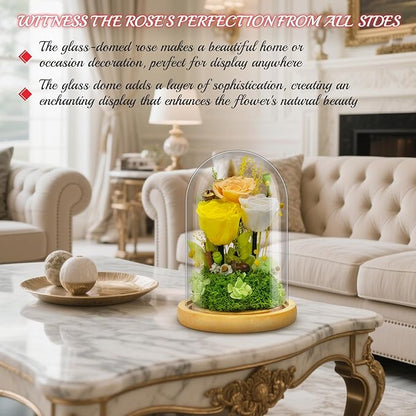 Preserved Flowers Gifts for Women Eternal Rose In Glass Dome Light Up Flower Real Rose Eternal Flowers for Decoration Long Lasting Forever Preserved Glitter Roses Unique Gift on All Occasions(Yellow)