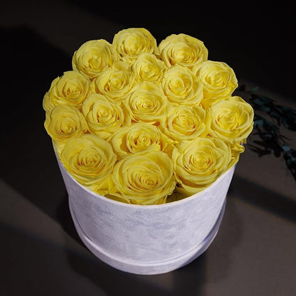 17 Flowers in a Luxury Suede Box, Birthday Gifts for Women, Preserved Flowers, Mothers Day Roses Gift for Mom, Yellow