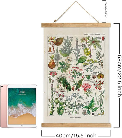 XIAOAIKA Vintage Botany Poster with Wooden Frame, Antique Poisonous Plants Chart - Botanical Educational Art with Dangerous Species - Retro-Style Wall Hanging for Home Classroom Decor 16 x 23 Inches