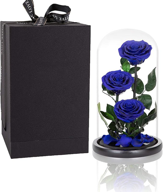 Preserved Roses Handmade Preserved Flowers in Glass Dome, Blue Rose Never Withered, Birthday Gifts for Women (13 inch)