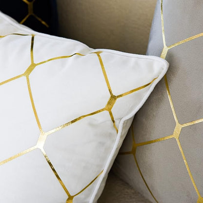 WACOMECO Gold Throw Pillow Covers, Pack of 2 Soft Velvet Decorative Cushion Covers for Couch Sofa Home Decoration, White, 18x18 Inch