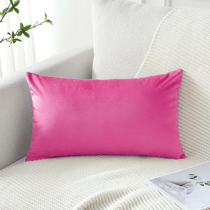 Artscope Luxury Velvet Pillow Covers Decorative Rectangle Pillowcases Soft Solid Cushion Cases for Couch Sofa Bedroom Car Decor 16x24 Inch Hot Pink