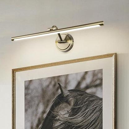 Hard-Wired Picture Lights 23.6 Inch Dimmable LED Wall Art Lighting Modern Gallery Light Poster Lights Adjustable Swing Arm Picture Frame Light for Display Art Work,14W,2700K, Warm White Antique Bronze