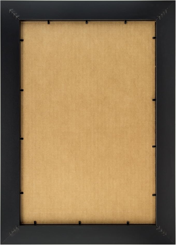 Craig Frames 1WB3BK 14 by 14-Inch Black Picture Frame, Single White Collage Mat with 9-4 by 4-Inch Openings