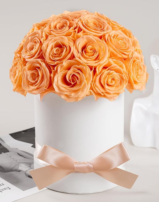 27 Forever Roses Dome in Luxury White Box, Eternal Real Roses Birthday Gifts for Women, Preserved Flowers for Delivery Prime, Anniversary, Valentine's Day, Mothers Day for Mom (Champagne)