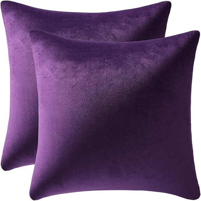 16x16 Throw Pillow Cases Purple: 2 Pack Cozy Soft Velvet Square Decorative Pillow Covers for Farmhouse Home Decor