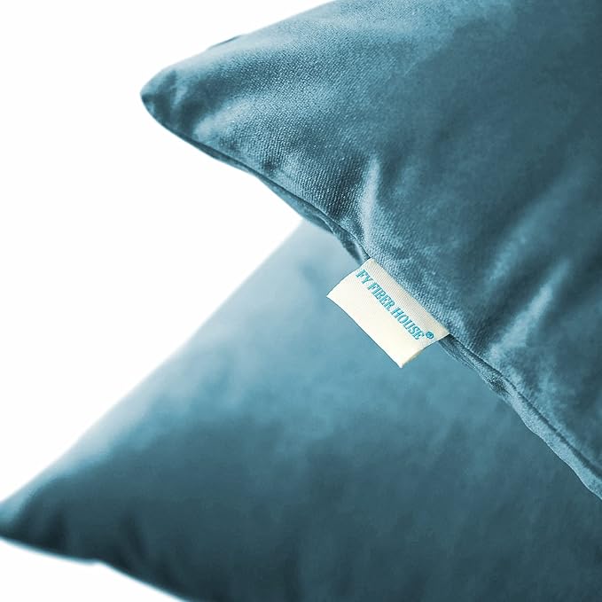 FY FIBER HOUSE Pack of 2 Velvet Throw Pillow Covers Decorative Square Pillowcase Soft Solid Cushion Case for Sofa/Couch Use, 16 x 16 Inch, Light Blue