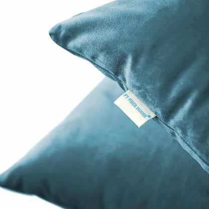 FY FIBER HOUSE Pack of 2 Velvet Throw Pillow Covers Decorative Square Pillowcase Soft Solid Cushion Case for Sofa/Couch Use, 16 x 16 Inch, Light Blue