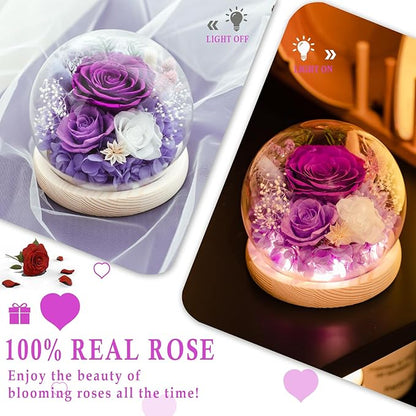FIACO Gifts for Women Christmas Preserved Rose Forever Fresh Flowers for Delivery Birthday Flowers Gifts for Mom Grandma Wife Friends Purple Eternal Roses in Glass Dome