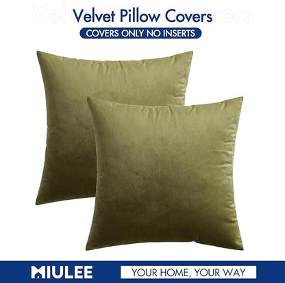 MIULEE Velvet Throw Pillow Covers 16x16 Inch, Pack of 2 - Light Olive Green, Soft Solid Decorative Pillow Covers Cushion Cases Modern Luxury Home Decor for Spring Couch Sofa Bedroom Livingroom