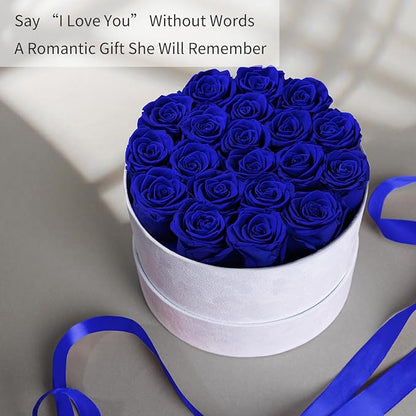 Gifts for Women Preserved Roses Flower Box, Luxury Velvet Box with 20 Roses, Preserved Flowers, Romantic Gift for Her, Wife, Girlfriend, Birthday Anniversary Christmas (Royal Blue)