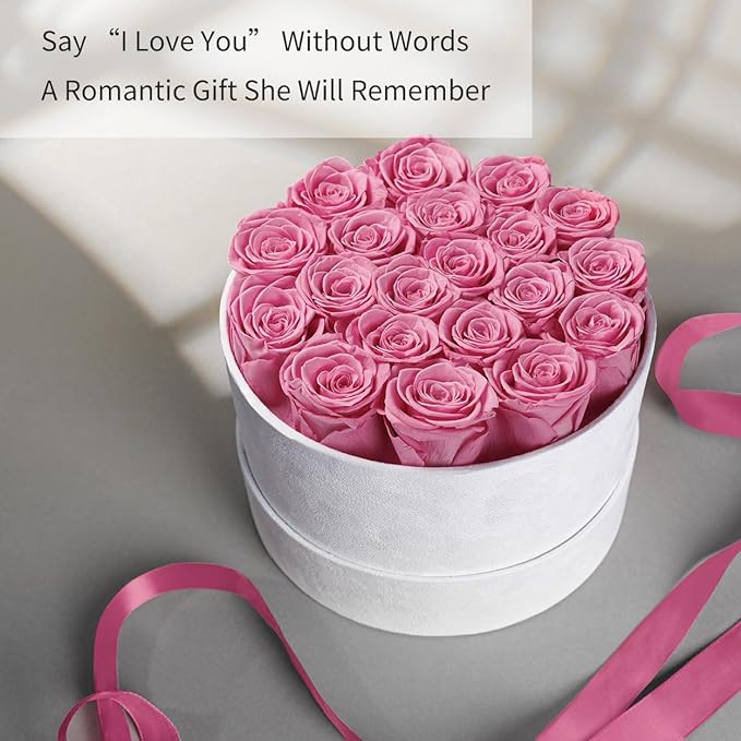 Gifts for Women Preserved Roses Flower Box, Luxury Velvet Box with 20 Roses, Preserved Flowers, Romantic Gift for Her, Wife, Girlfriend, Birthday Anniversary Christmas (Pink)