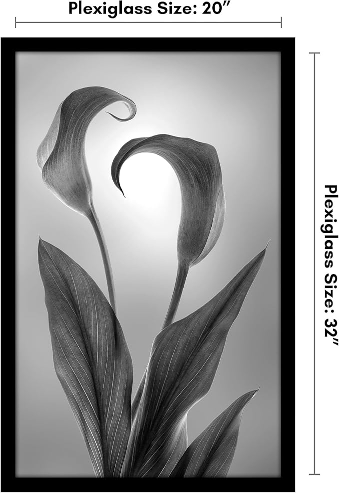 Americanflat 20x32 Poster Frame with Polished Plexiglass - Black Picture Frame - Wide Photo Frames Made of Engineered Wood for Vertical or Horizontal Wall Display - Epic Collection - Black