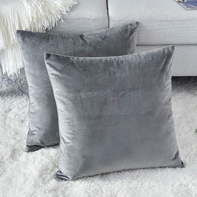 Set of 2 Comfortable Throw Pillow Cover for Bedding, Decorative Accent Cushion Sham Case for Couch Sofa, Soft Solid Velvet with Zipper Hidden - 20"x20", Dolphin Gray
