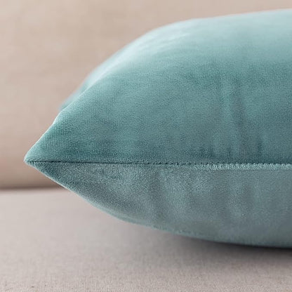 NiNi ALL Decorative Throw Pillow Covers Pack of 2, Velvet Cushion Case for Couch Bedroom Living Room Outdoor, Pillow Covers 16x16 Inch（40 x 40 cm） Light Blue