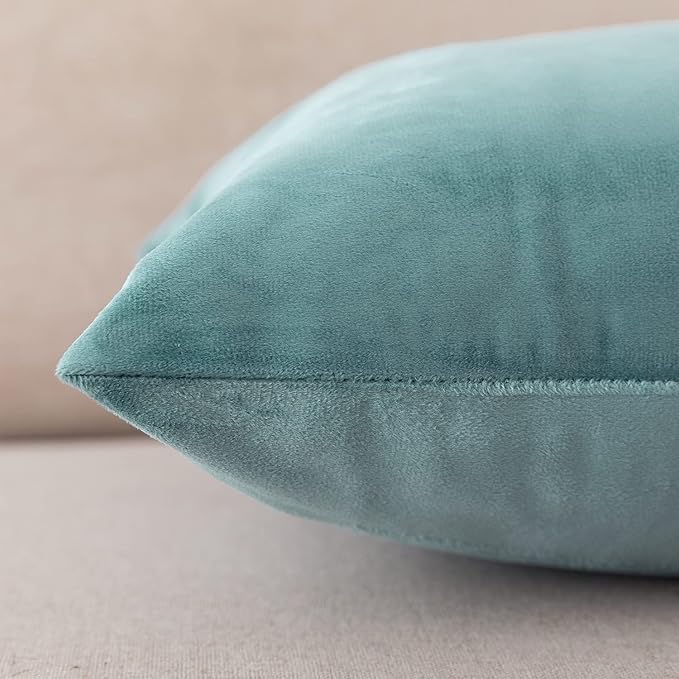 NiNi ALL Decorative Throw Pillow Covers Velvet 26x26 Inch Pack of 2 Light Blue Cushion Covers Soft for Couch Sofa Bedroom Living Room Outdoor