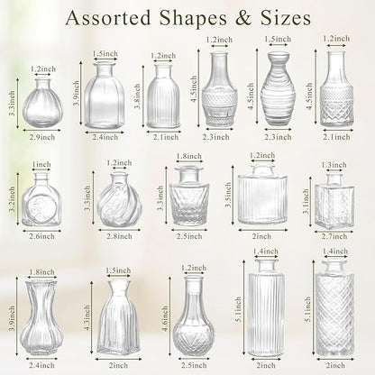 DomeStar 16PCS Glass Bud Vases Set, Small Clear Cylinder Vases for Plant Propagation Station Plant Terrarium, Vintage Clear Bud Vase in Bulk for Rustic Wedding Centerpieces Home Table Flower Decor
