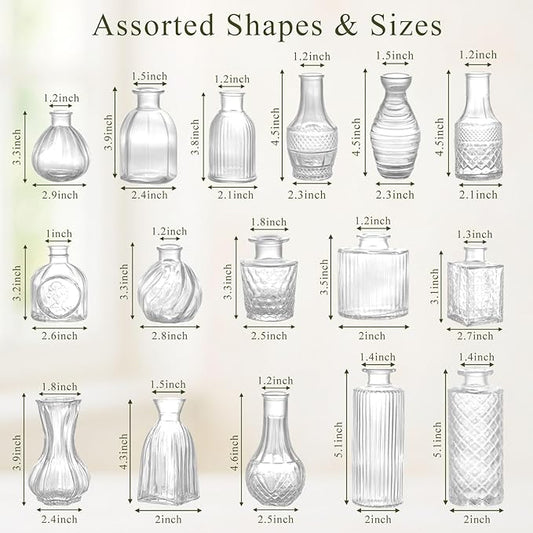 DomeStar 16PCS Glass Bud Vases Set, Small Clear Cylinder Vases for Plant Propagation Station Plant Terrarium, Vintage Clear Bud Vase in Bulk for Rustic Wedding Centerpieces Home Table Flower Decor