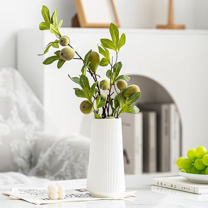 8 inches Modern Simple White Boho Vase for Pampas Grass and Dry Flower, Water Proof Vase for Home Living Room Farmhouse Office Decor