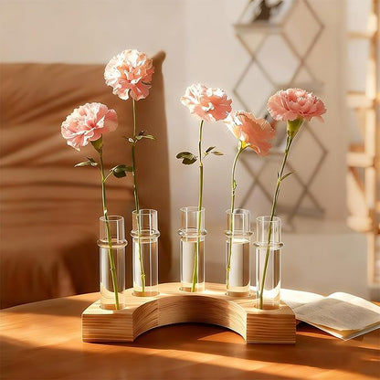 Plant Propagation Station with Wooden Stand, Valentines Day Gift, Glass Propagation Vase for Plants, Plant Terrarium Birthday Gifts for Women Mom Plants Lovers, Home Office Garden Decor, 5 Glass Tubes