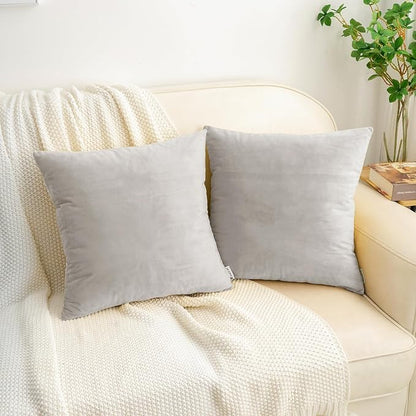 HWY 50 Silver Gray Velvet Throw Pillow Covers 16x16 Inch, Pack of 2 Soft Cozy Solid Decorative Luxury Cushion Cases for Couch Sofa Bed Living Room Bedroom