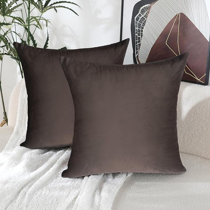 Jeneoo Set of 2 Comfy Soft Velvet Throw Pillow Covers Couch Solid Square Cushion Cases for Home Bedroom Sofa Car Decorative (Coffee Brown, 18 x 18 Inches, 2 Pieces)