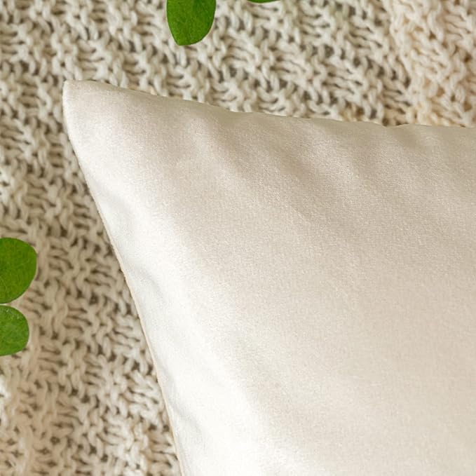 EMEMA Pack of 2 Velvet Throw Pillow Covers Decorative Rectangle Pillowcase Soft Solid Cushion Case for Sofa Bedroom Chair Car 12x20 Inch Cream White