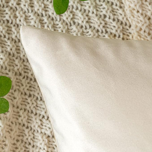 EMEMA Pack of 2 Velvet Throw Pillow Covers Decorative Rectangle Pillowcase Soft Solid Cushion Case for Sofa Bedroom Chair Car 12x20 Inch Cream White