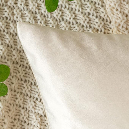 EMEMA Pack of 2 Velvet Pillow Covers Decorative Square Pillowcase Soft Solid Cushion Case for Sofa Bedroom Car 16x16 Inch Cream White
