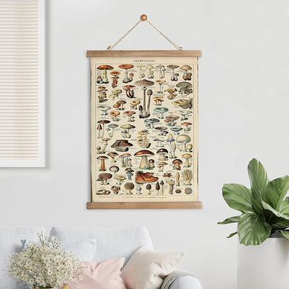 XIAOAIKA Vintage Mushroom Poster with Wooden Frame - Classic Botanical Print with Variety of Fungi Species - Retro Style Wall Art Decor for Kitchen, Living Room, Classroom 20 x 30 Inches