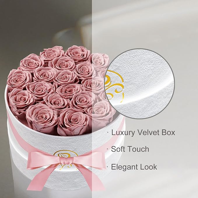 Gifts for Women Preserved Roses Flower Box, Luxury Velvet Box with 20 Roses, Preserved Flowers, Romantic Gift for Her, Wife, Girlfriend, Birthday Anniversary Christmas (Dusty Pink)