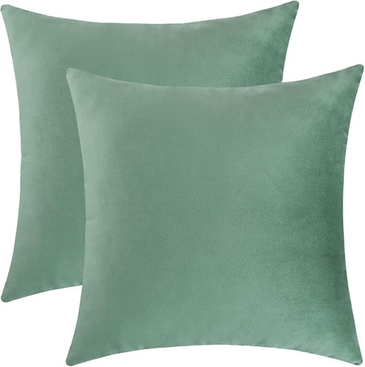 Jeneoo Set of 2 Comfy Soft Velvet Throw Pillow Covers for Sofa Couch Decorative Solid Square Cushion Cases for Bedroom Car (18 x 18 Inches, Sage Green)