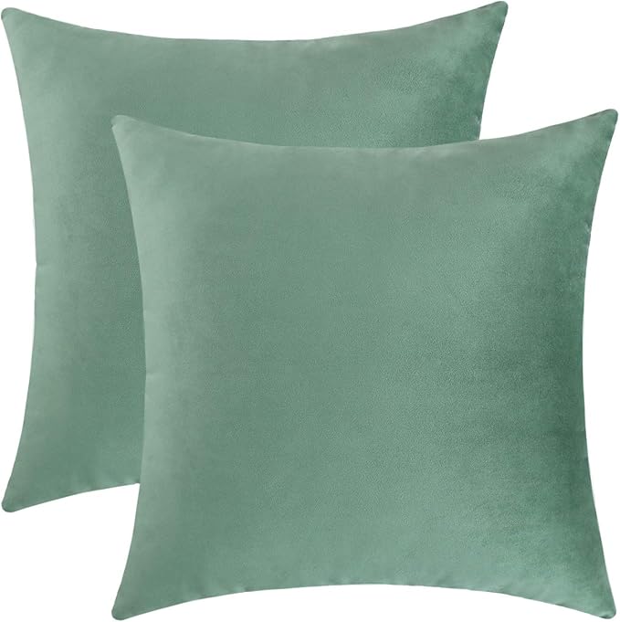 Jeneoo Set of 2 Comfy Soft Velvet Throw Pillow Covers for Sofa Couch Decorative Square Cushion Cases for Bedroom Car (20 x 20 Inches, Sage Green)