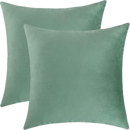 Jeneoo Set of 2 Comfy Soft Velvet Throw Pillow Covers for Sofa Couch, Decorative Solid Square Cushion Cases for Bedroom Car (16 x 16 Inches, Sage Green)