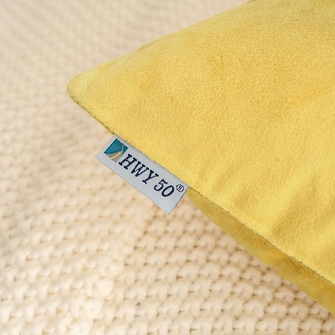 HWY 50 Yellow Velvet Throw Pillow Covers 22x22 Inch, Pack of 2 Soft Cozy Solid Decorative Luxury Cushion Cases for Couch Sofa Bed Living Room Bedroom