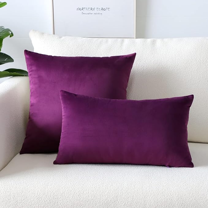 Artscope Luxury Velvet Pillow Covers Super Soft Decorative Square Throw Pillow Covers Case Cushion Covers for Sofa Couch Bedroom Car Decor 20x20 Inch Eggplant Purple
