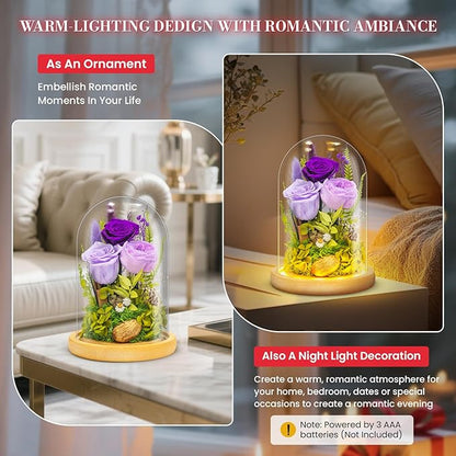 Forever Flowers Preserved Roses Prime Delivery For Women, Glass Dome Light Up Preserved Flowers , Christmas Anniversary Thanksgiving Gifts For Wife Girlfriend Women Best Friend Grandma(Purple)