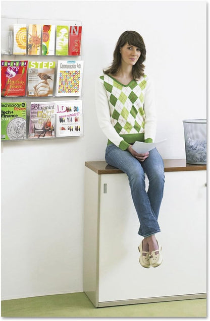 Safco Reveal Literature Rack, 6 Pamphlet and 6 Magazine Holder, Wall-Mounted Brochure Organizer, Acrylic, Clear