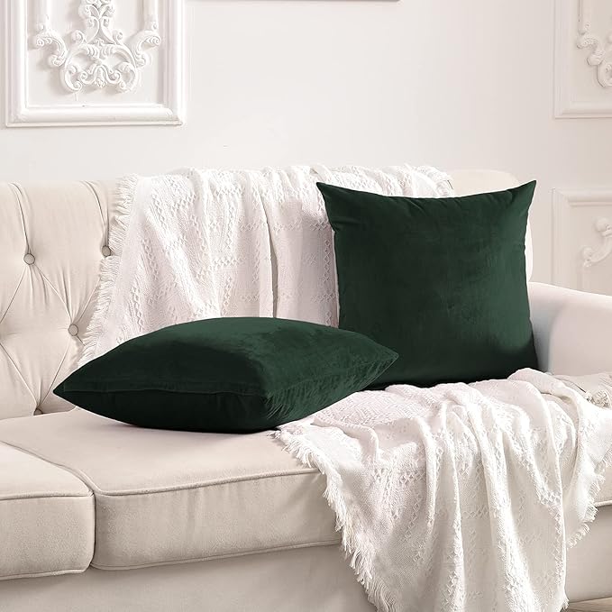 FY FIBER HOUSE Pack of 2 Velvet Throw Pillow Covers Decorative Pillowcase Soft Solid Cushion Cover, 16 x 16 Inch, Dark Green