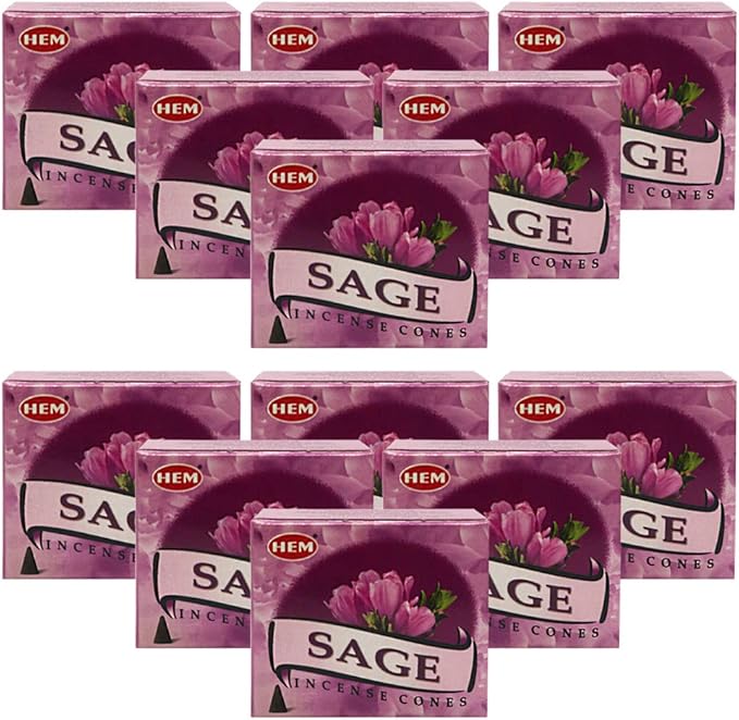 Sage Incense Cones And Cone Incense Burner Bundle Insence Insense Hem Incense