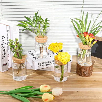 Plant Propagation Station,Hydroponic Glass Container Vase 2 Sizes Planter Propagated Jars for Desks, Houses, Garden Decorations,Home Kitchen Decorations and Gifts cu.20.5 (6pcs)