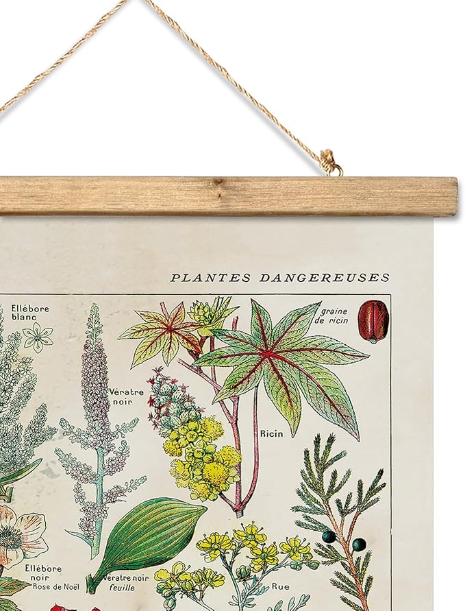 XIAOAIKA Vintage Botany Poster with Wooden Frame, Antique Poisonous Plants Chart - Botanical Educational Art with Dangerous Species - Retro-Style Wall Hanging for Home Classroom Decor 20 x 30 Inches