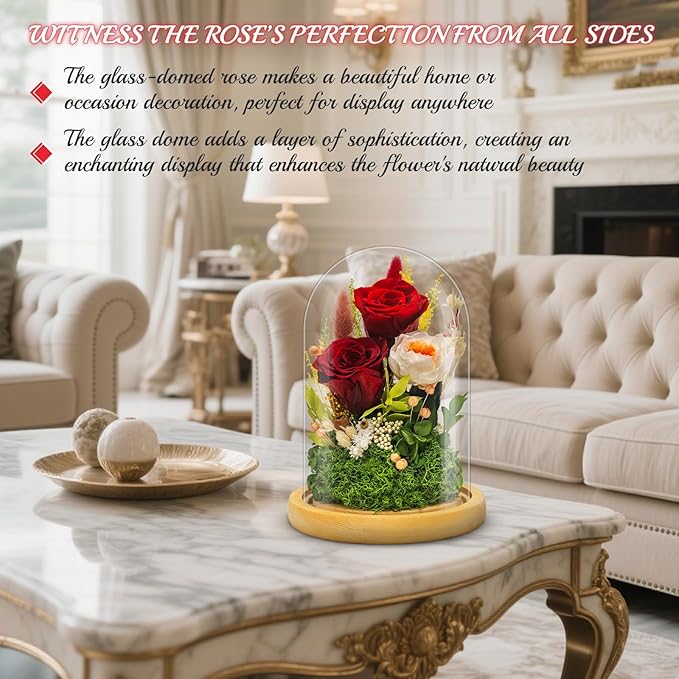 Forever Flowers Preserved Roses Prime Delivery for Women, Glass Dome Light Up Preserved Flowers, Christmas Anniversary Thanksgiving Gifts for Wife Girlfriend Women Best Friend Grandma(Red)